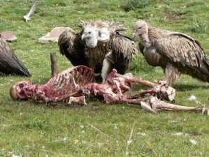 Sky-Burial